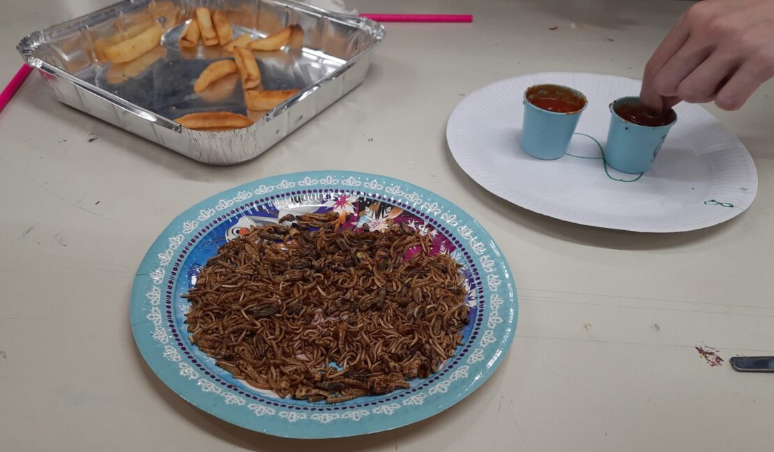 Dried mealworms and locusts on a cardboard plate, and a Scout dipping some over chips into one of two mini pots of ketchup.